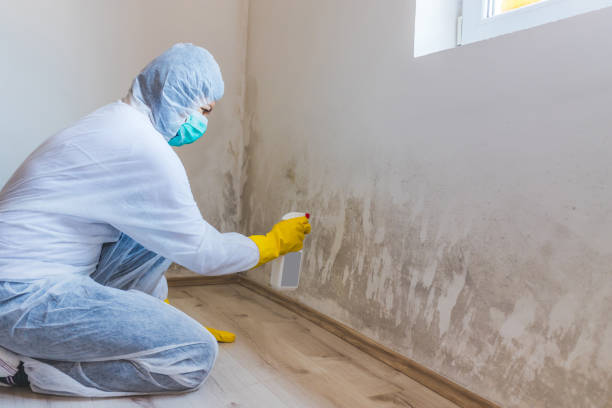 Licensed Mold Removal service in Lawrence Township, NJ - Mold Remediation HQ