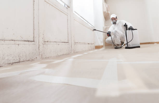 24/7 Emergency Mold Removal experts in Lawrence Township, NJ