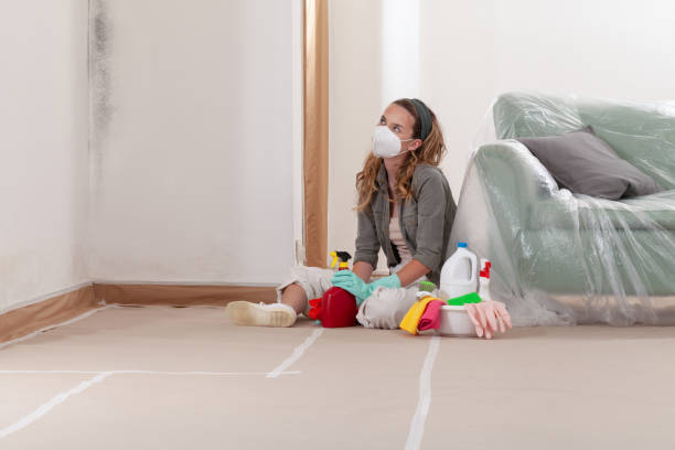 Reliable Mold Removal contractor in Lawrence Township, NJ by Mold Remediation HQ